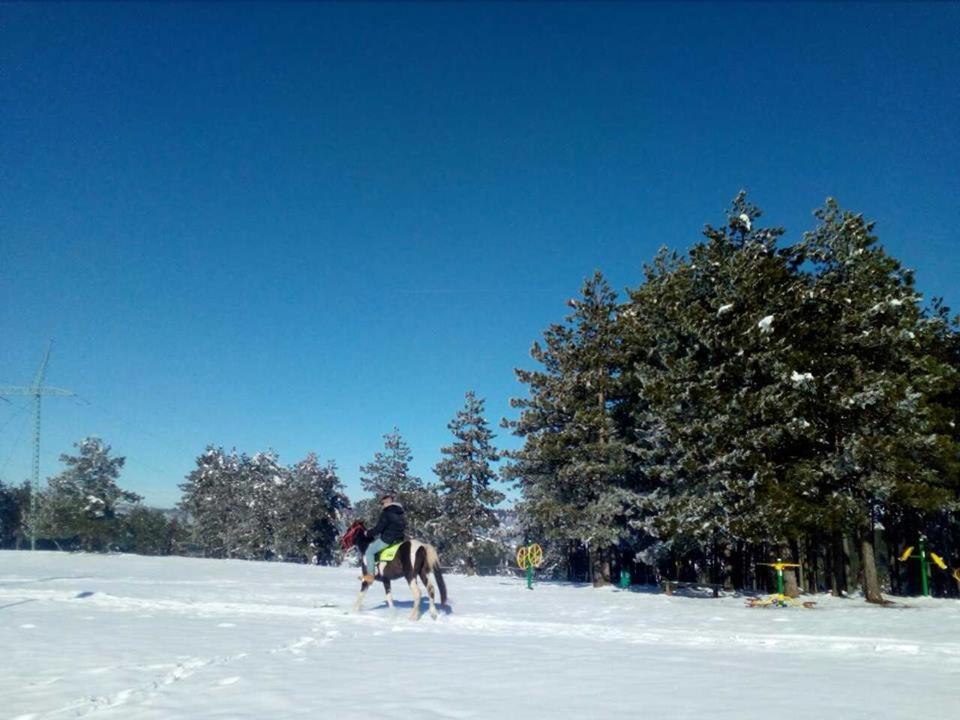 Vikendica MM Villa Zlatibor Buitenkant foto